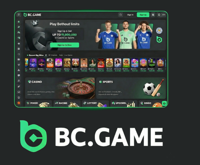 Exploring the BC.Game App A Guide for German Users